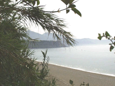 background_spain
